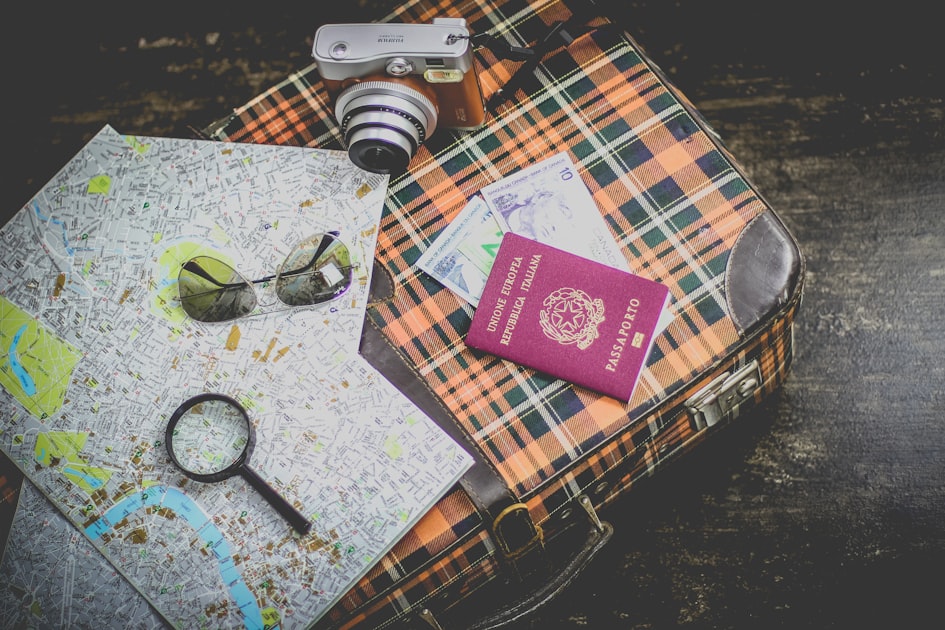 Travel Tips for Pet Owners