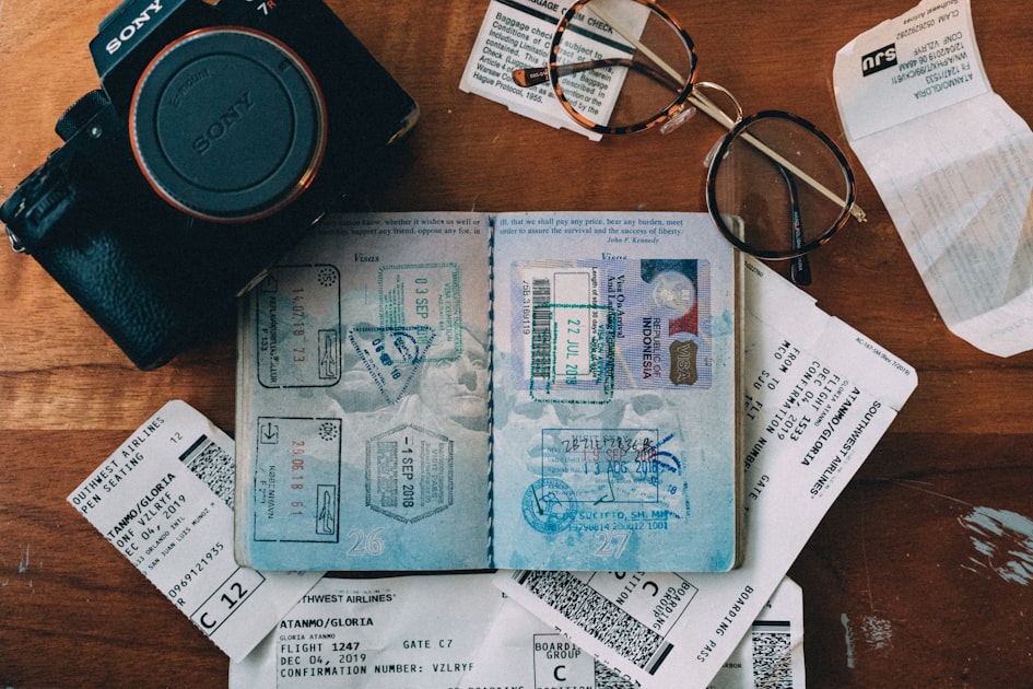Capturing Travel Memories with Your Dog
